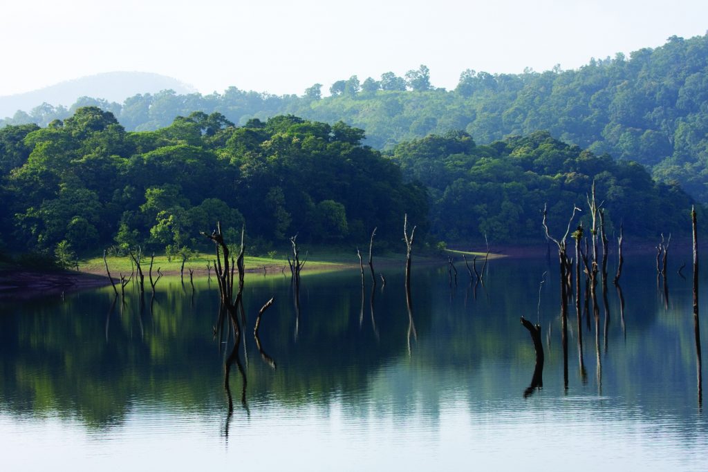 Thekkady Tiger Reserve | www.periyartigerreserve.org/ | Flickr