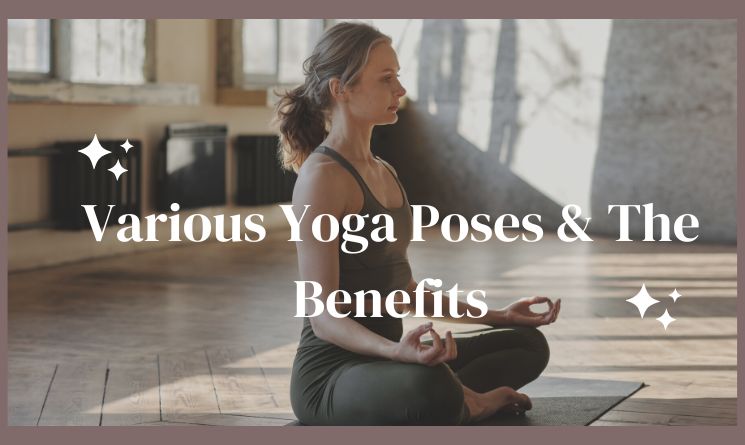 Various Yoga Poses and the Benefits - Ashtanga, Vinyasa, Hatha